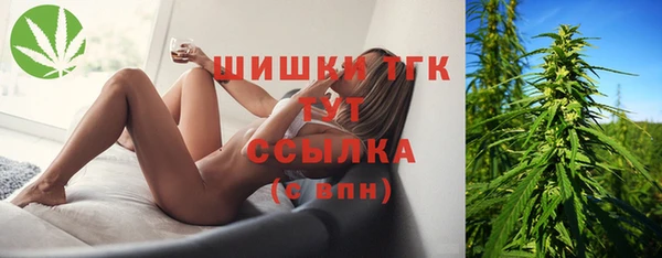 сатива Алзамай