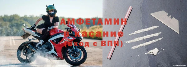 сатива Алзамай