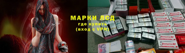 сатива Алзамай