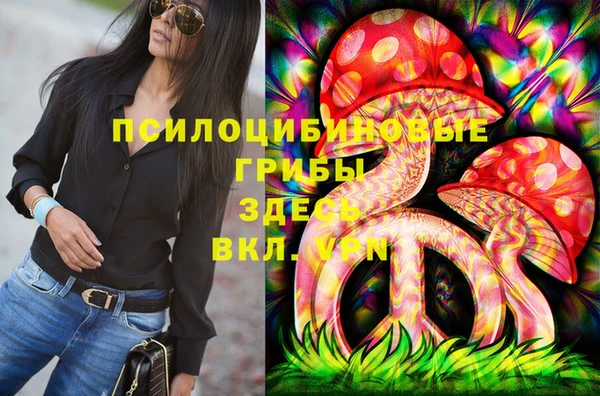 МДМА Алексеевка