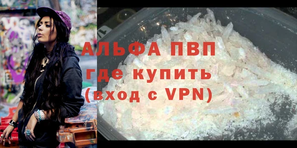 сатива Алзамай