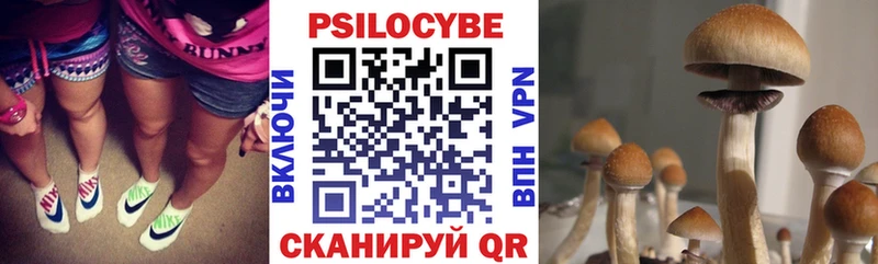 Псилоцибиновые грибы Cubensis  Петушки 